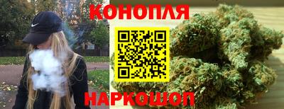 прущие грибы Аргун