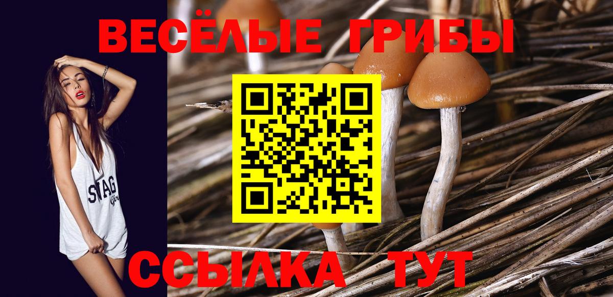 Галлюциногенные грибы мицелий Ачинск
