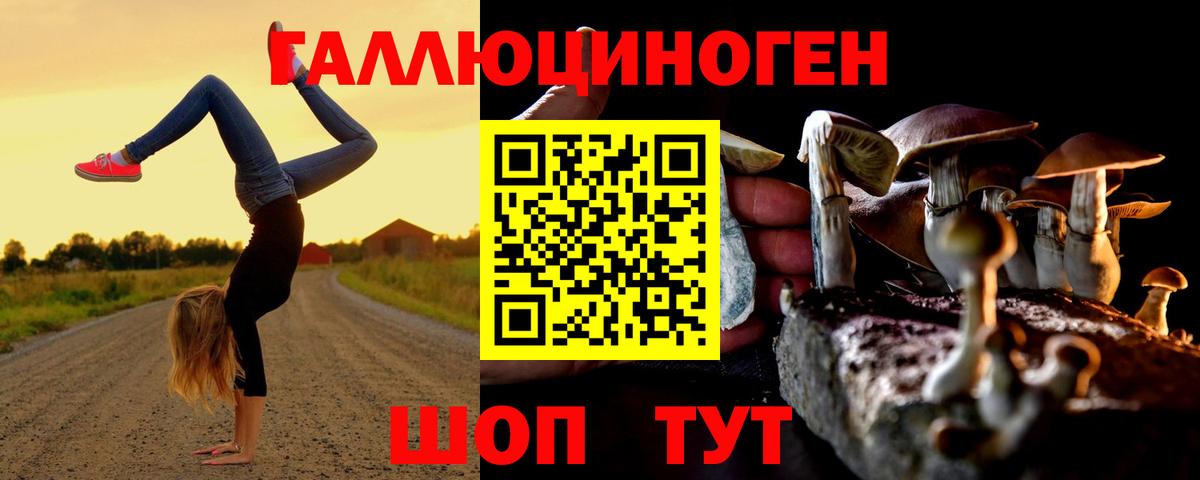 Псилоцибиновые грибы мухоморы  Вход с VPN  Псилоцибиновые грибы прущие грибы  Ачинск 